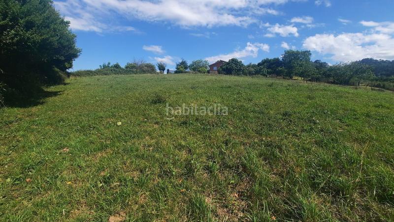 Foto d3a6f69b-d80e-4019-82cd-fe0ade224fcc. Terreny residencial a Leorio Gijón