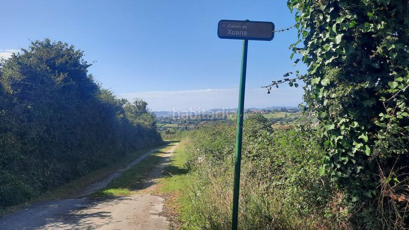 Foto dd4ccb21-03c3-48e8-8fb4-21c629da904a. Terreny residencial a Leorio Gijón