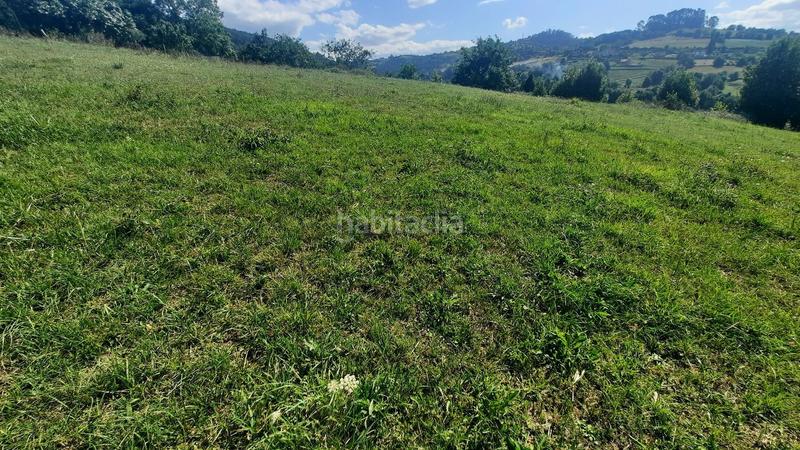 Foto 6177bdde-10ec-4247-9e12-74be4009c310. Wohngrundstück in Leorio Gijón