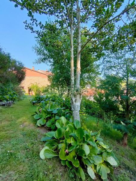 Foto 7cf32f3b-c42c-4df4-827b-2f428d91b2fd. Casa con riscaldamento parcheggio piscina in Cabranes