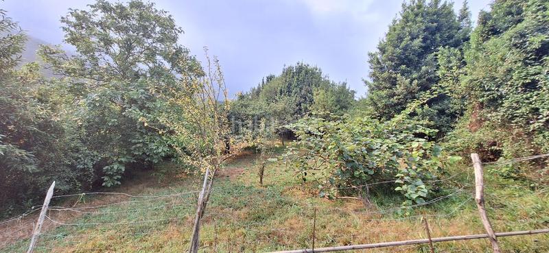 Foto 3d69004b-b749-485f-92f0-c4e6fa6fa5ac. Terreny residencial a Caldones Gijón