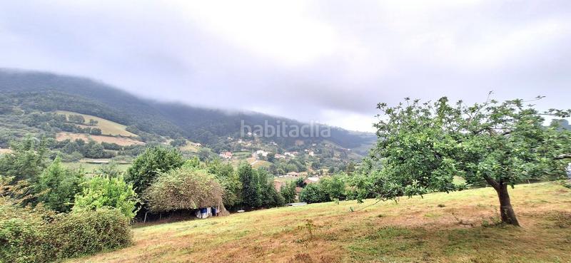 Foto 71c863a1-b7ae-43ec-9e78-e57d430071d7. Terreny residencial a Caldones Gijón