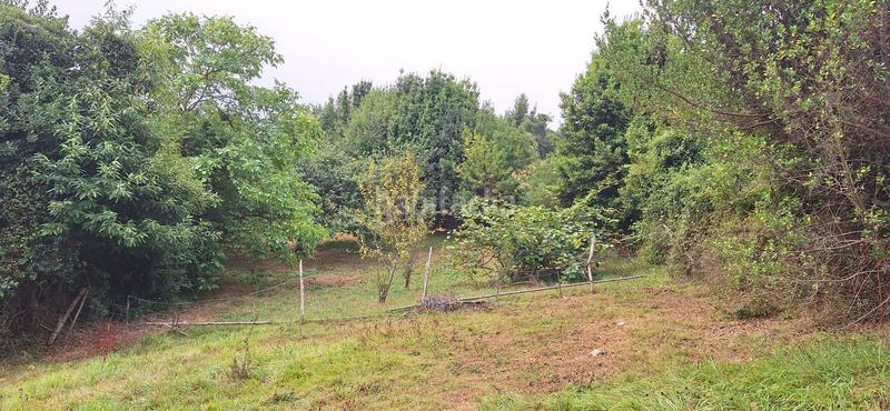 Foto 8450cf06-dcbb-4f41-9850-8bba011f5254. Terreny residencial a Caldones Gijón