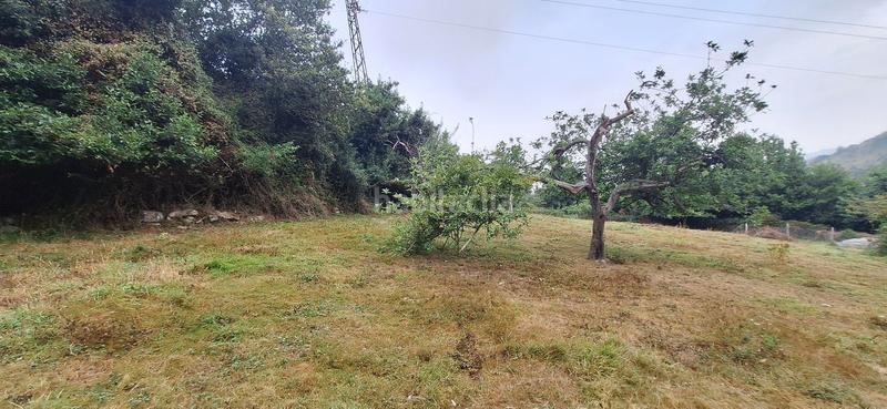 Foto 95c63878-bd82-4875-9ab7-2df10dd3002f. Terreny residencial a Caldones Gijón