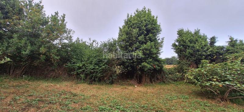 Foto f7e4a231-0c38-441d-89d2-310ee7272a9b. Terreny residencial a Caldones Gijón