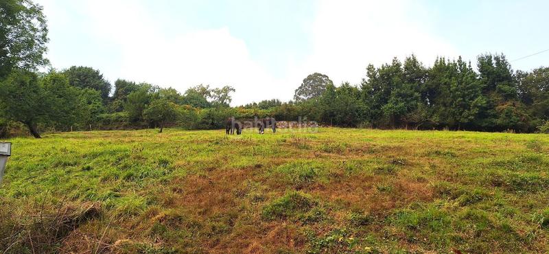 Foto c3d41893-2b21-4b77-be67-38717c30b45e. Terrain résidentiel dans Caldones Gijón
