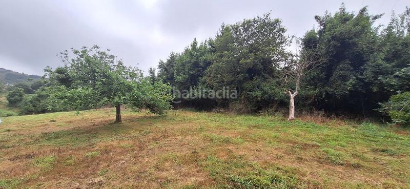 Foto 5f0cdc32-6827-43e0-8e4e-859e73ce2cbc. Terreno residenziale in Caldones Gijón