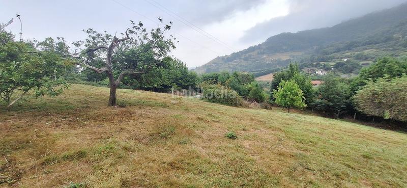 Foto 1a02e201-84ac-486b-ad5b-2d436edd91fc. Wohngrundstück in Caldones Gijón