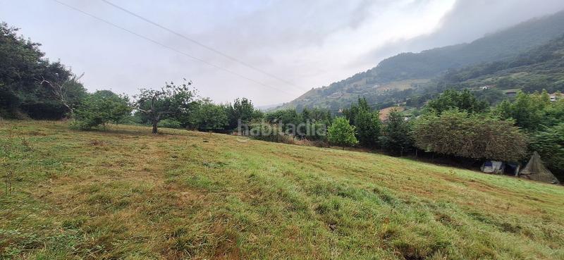 Foto 7d9d16e6-8bb8-4d78-8be5-a94f519a09aa. Wohngrundstück in Caldones Gijón