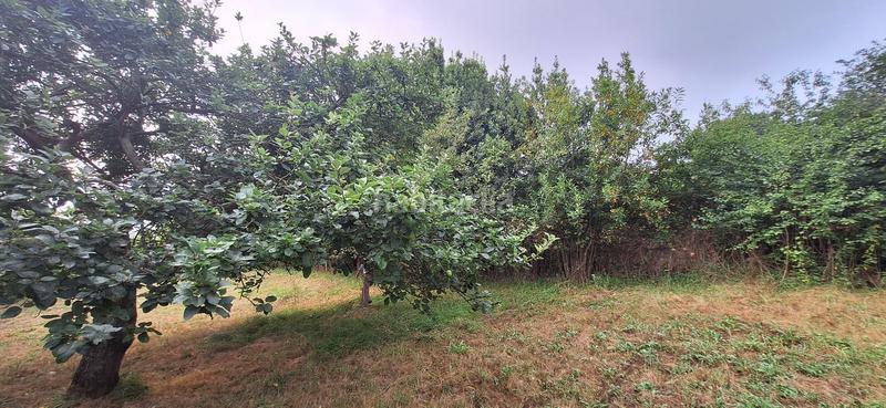 Foto bac09c4f-fc54-4b4f-bafc-9a4c17df9465. Wohngrundstück in Caldones Gijón