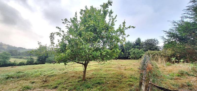 Foto f0246adf-4f85-4495-8380-90f7fe8a0c62. Wohngrundstück in Caldones Gijón