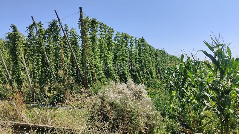 Foto b34e25ab-8f31-4df2-b31d-29d1b2e61587. House with heating pool in Carrizo