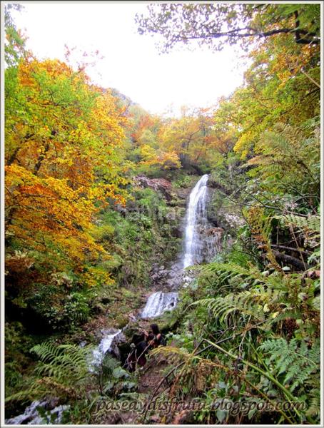Foto 6e0de5b0-8854-4de6-9725-b95b7177f76f. Casa amb piscina a Quirós