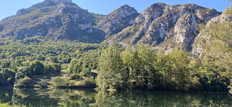 Foto 5656accd-4ccf-4ff4-a7ee-4e17b153d5ff. Haus mit pool in Quirós