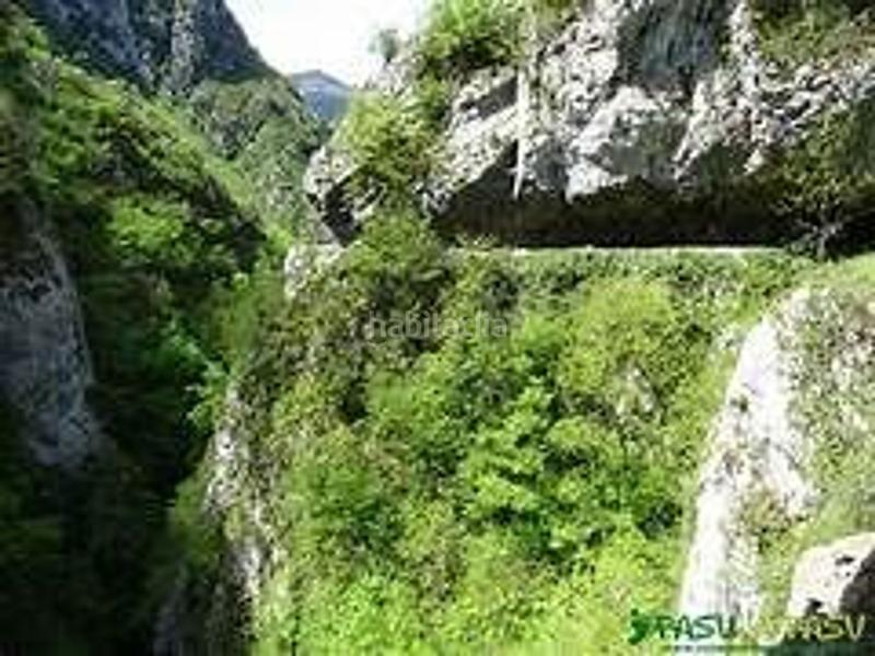 Foto d74f9d4a-1ffc-4fec-bbaf-50dd429452dd. Haus mit pool in Quirós