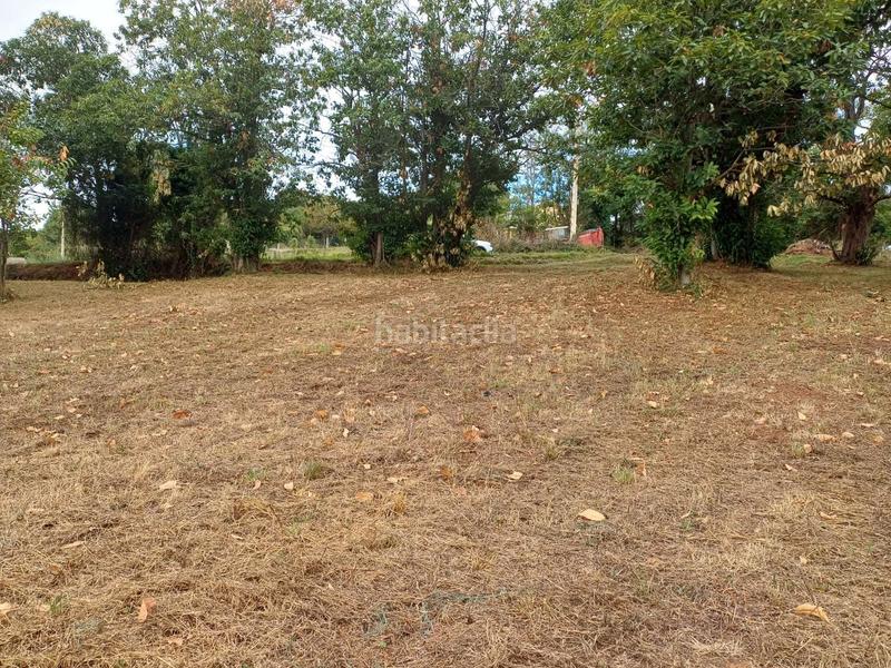 Foto 55942279-2deb-450e-abf7-811898e79dc1. Wohngrundstück in Regueras (Las)