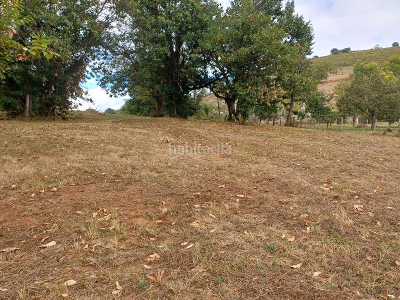 Foto 228f019c-d1f7-4dd6-bedb-d37dae0934e1. Terreno residencial en Regueras (Las)