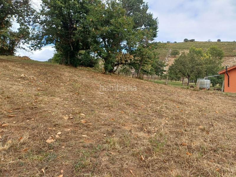 Foto 47194b3a-3979-4203-a8e9-1f0b9ad19ee7. Terreno residencial en Regueras (Las)