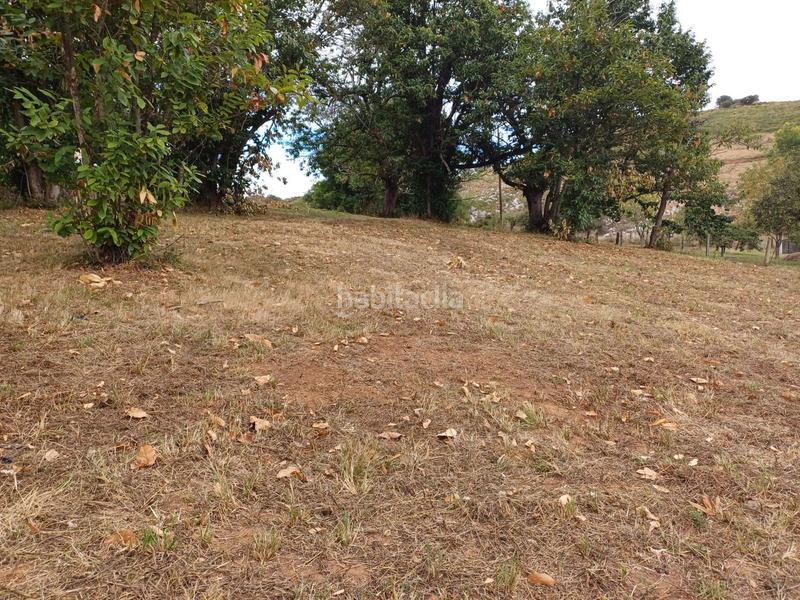 Foto 5fa97752-300f-416f-b2ae-bbbcf81605a2. Terreno residencial en Regueras (Las)