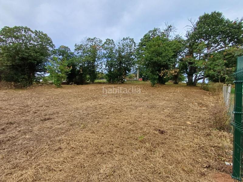 Foto 9f76f59c-032b-4a4f-b8c8-0c833f0688c1. Terreno residencial en Regueras (Las)