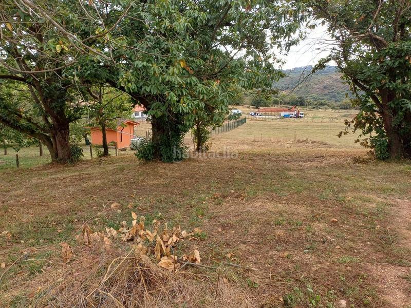 Foto b07d82bb-7ebb-4d28-b0a9-4be2196d95e1. Terreno residencial en Regueras (Las)