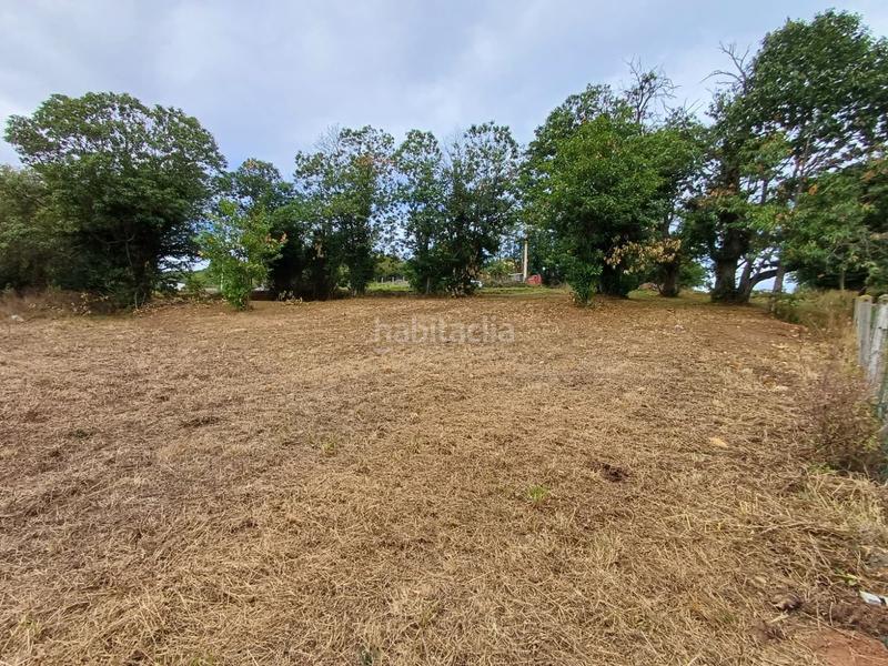Foto bed36596-cbae-49a7-b8b8-4290cdad2c67. Terreno residencial en Regueras (Las)
