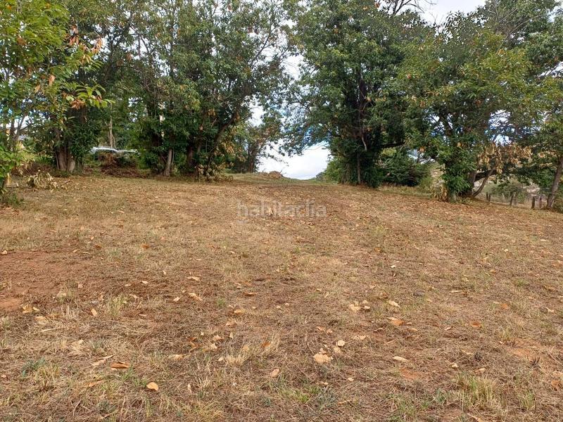 Foto c3c36306-210e-4e94-816c-432d86a4f5d2. Terreno residencial en Regueras (Las)