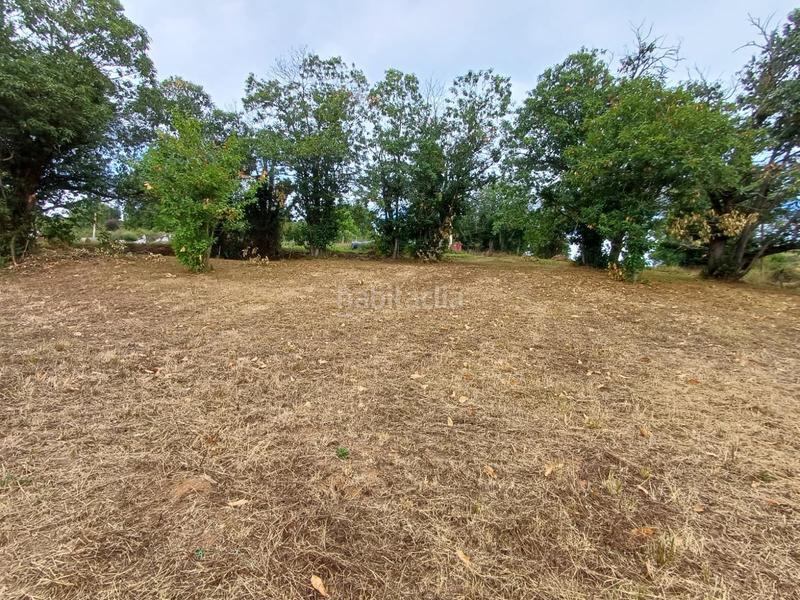 Foto ca8b7c83-40ec-4b46-a797-f7a39840805d. Terreno residencial en Regueras (Las)