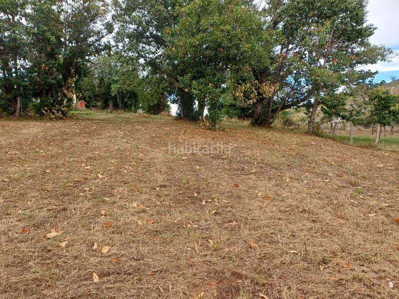 Foto dce94fe6-3f5d-4b10-9da2-24f292b6945c. Terreno residencial en Regueras (Las)