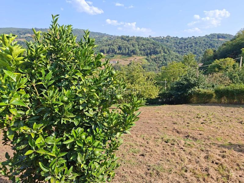 Foto a101eb05-4c9a-4c61-a220-2d7f2fb2b8cf. Terreno residenziale in La Felguera Langreo