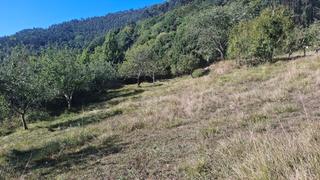 Residential Plot in N/A