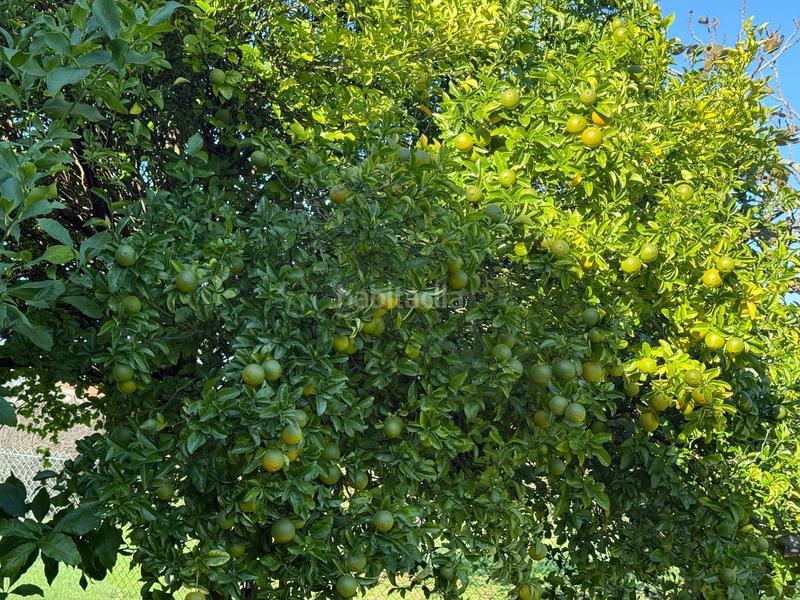 Foto 79faf39d-7488-4f9a-b13d-e69f77846bb1. Casa en Porceyo Gijón