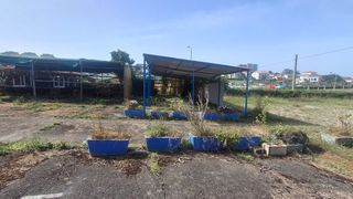 Business premise  N/a
