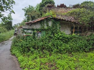 Maison  N/a