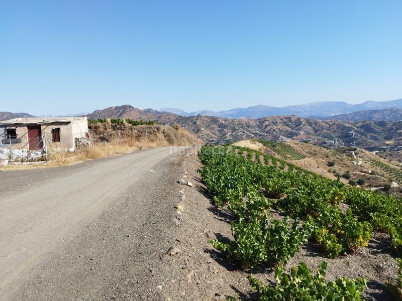 Foto c658e7c9-4160-4290-82e3-7c625c35882f. Masía casa de apero ! en Almáchar