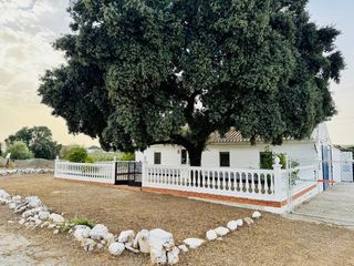 Masia  Carretera ventas zafarraya (pila). Gran finca de regad�o con vivienda!