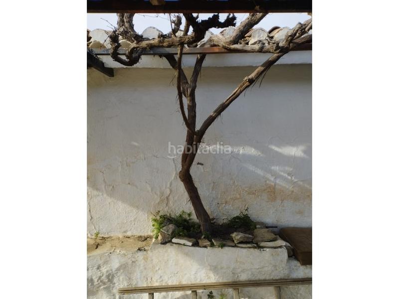 Foto 1b2bfe84-b166-4c99-b2b0-52643a6ffa9f. Mas dans Canillas de Aceituno