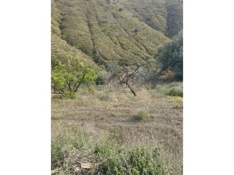 Foto 57f910af-907e-4b23-86c2-c96a0157ef0a. Mas dans Canillas de Aceituno