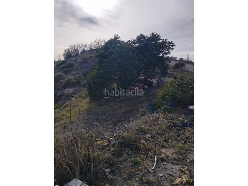 Foto c1d25447-2299-486d-b394-a41252fbb56b. Mas dans Canillas de Aceituno