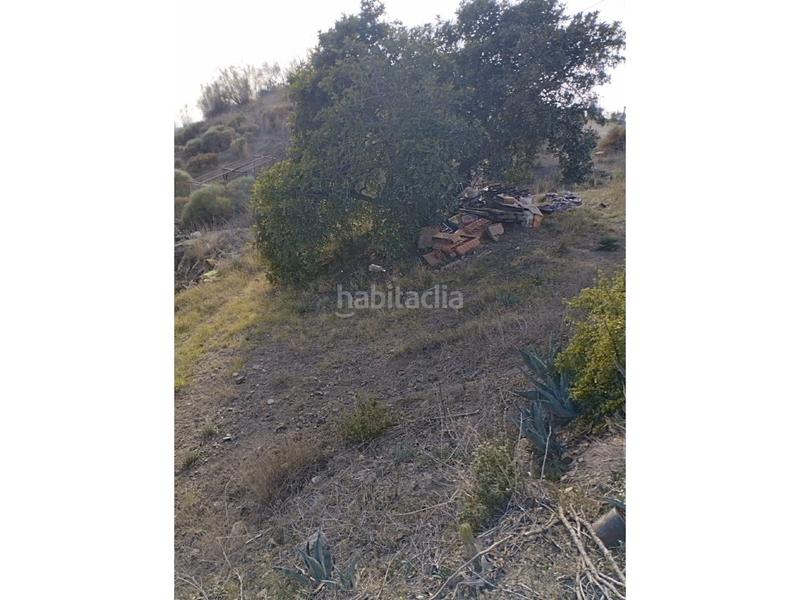 Foto c50df77b-a523-4703-b0b1-2b0a02adebd7. Mas dans Canillas de Aceituno