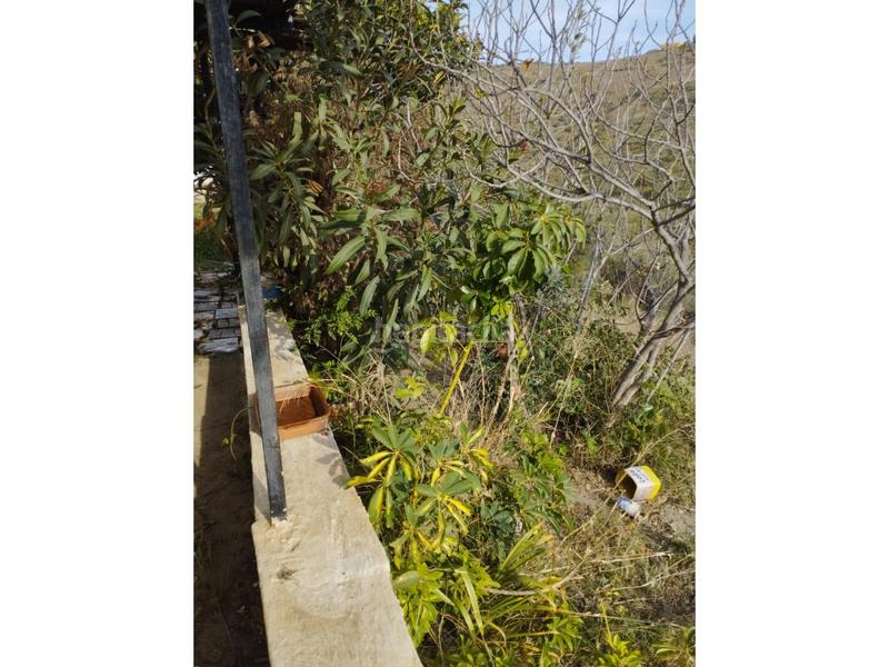 Foto d0f46d0f-5034-4aaa-8bf5-ccae2fb9afec. Mas dans Canillas de Aceituno