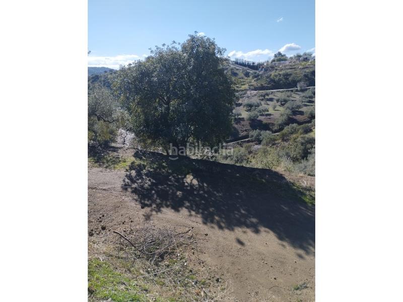 Foto 21acdd53-3d4f-4d5e-88b0-b9b652e5b2ae. Casa in Riogordo