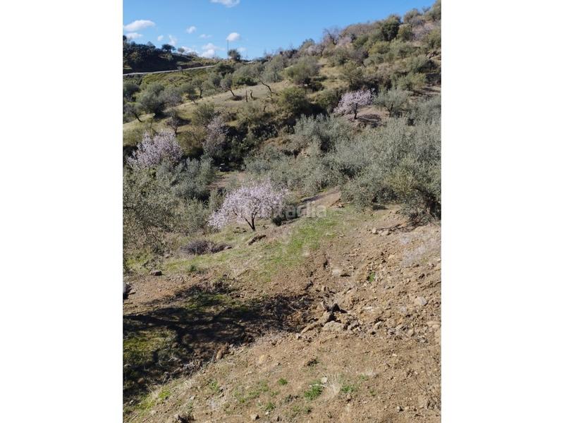 Foto 6980d96c-7749-4d2d-98e1-e8bc6ebdb287. Casa in Riogordo