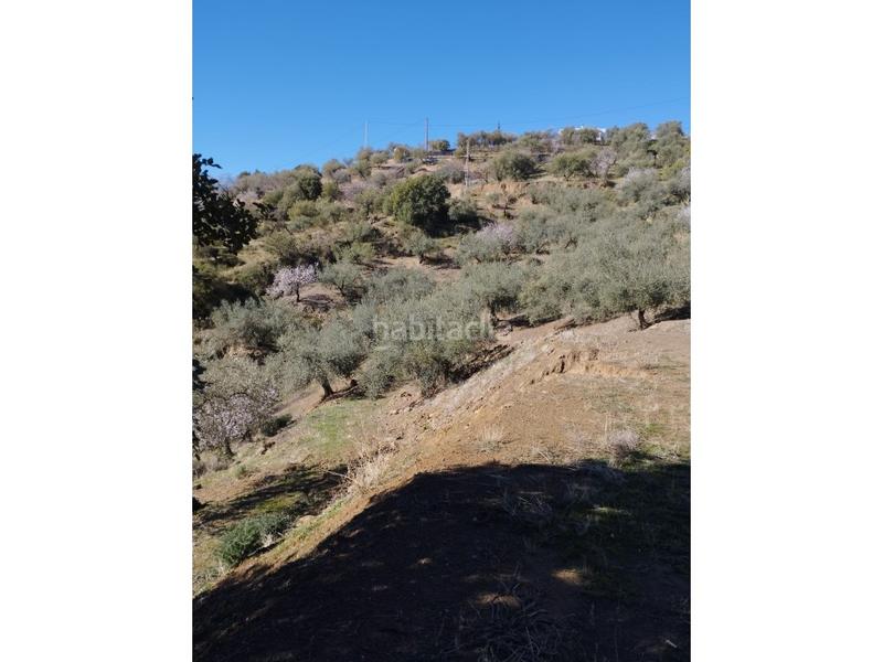 Foto 78efdf42-8b7b-4ca0-80ac-69ccef4e9229. Casa in Riogordo