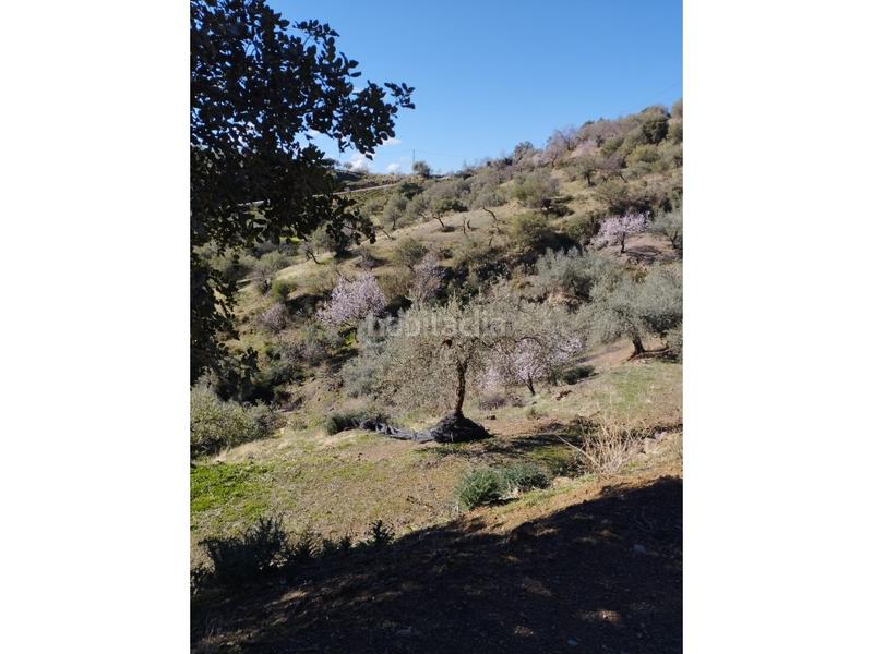 Foto 8f839892-0866-48be-8320-7526b8bb550a. Casa in Riogordo