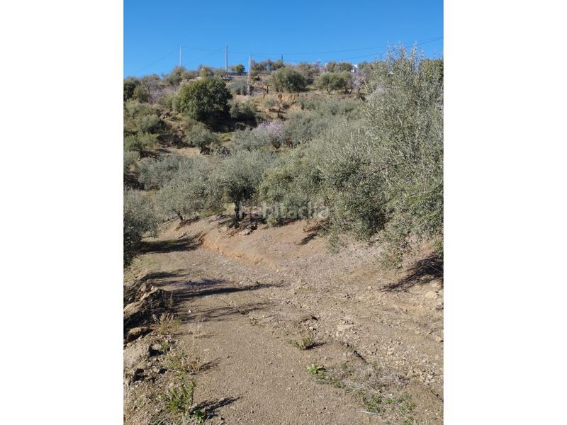 Foto 9b03e285-856d-46c6-85f3-077b4d110621. Casa in Riogordo