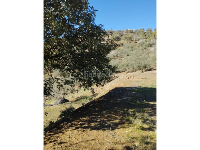 Foto af33a807-33ce-4f5c-a937-a4f4ed28730f. Casa in Riogordo