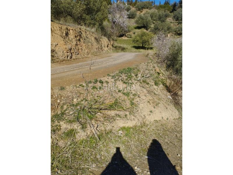 Foto d94814bd-6d89-44a4-a239-f82f3ef13664. Casa in Riogordo