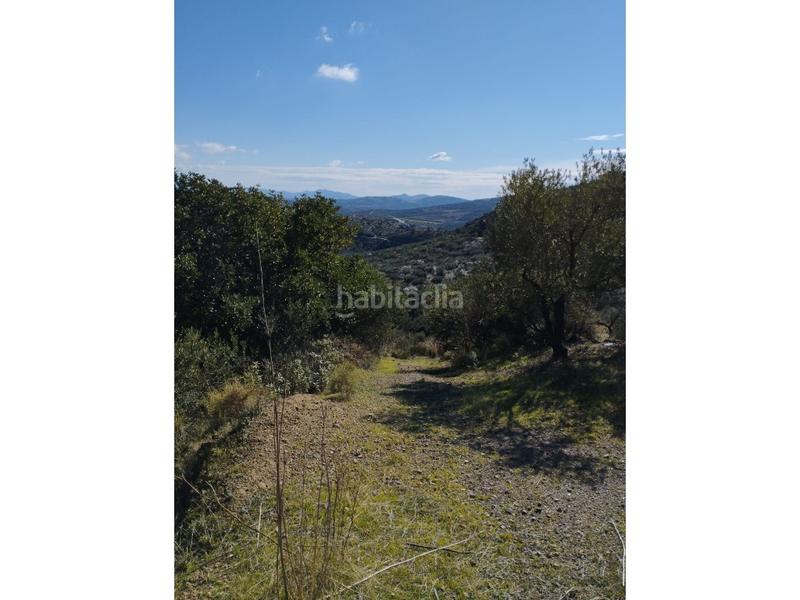 Foto ed2a537a-560d-48ec-94ba-a08c1554b41c. Casa in Riogordo