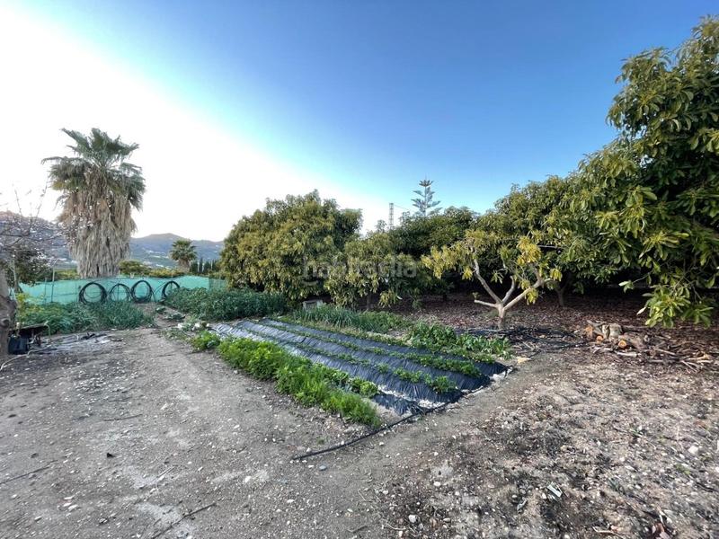 Foto 0d8816b4-d193-4bb7-8b60-7bde70253e6a. Masía magnífica casa de campo con piscina ! en Avda Pescia - Ctra de Frigiliana Nerja